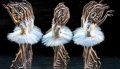 Audiciones para el Boston Ballet y Boston Ballet II