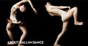 Audición para Gallim Dance