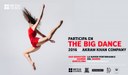 Participa en THE BIG DANCE 2016
